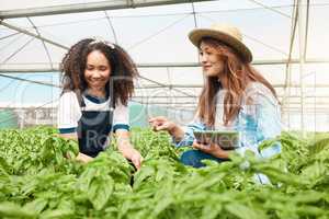 Weve given these crops sufficient water. Shot of two young women tending to crops while working on a farm.