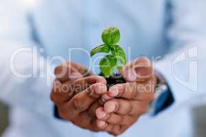Unrecognizable businessperson standing and holding a plant growing out of dirt in the palm of their hand at work. Unrecognizable person growing and taking care of a plant in soil