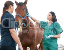 Has he been eating normally. Shot of an attractive young veterinarian standing with a horse and its owner on a farm.
