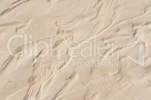 Above view of beach sand with wind swept patterns from gust winds with copy space. Closeup of detail and texture background with copyspace of erosion from climate change and global warming on land