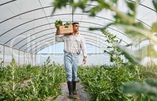 Nature can be really generous. a young man holding a crate of fresh produce while working in a greenhouse on a farm.