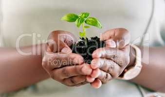 Unrecognizable african american person holding a plant growing out of dirt in the palm of their hand. Unrecognizable person growing and nurturing a plant growing out of soil in their hand