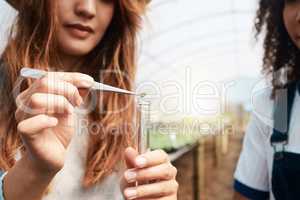 Handle with care. two attractive young women taking samples while working in a greenhouse on a farm.