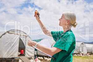 Ensuring all eggs are as healthy as the chickens they came from. a mature veterinarian inspecting an egg on a poultry farm.