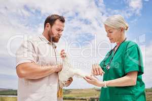 Performing a thorough physical exam before making a diagnosis. a veterinarian having a discussion with a man on a poultry farm.
