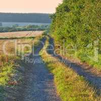 A dirt road beside a field in the Danish countryside in summer. Rocky gravel path through rustic grass or farm land in spring against a yellow orange sky. Peaceful nature scene of cultivated wheat