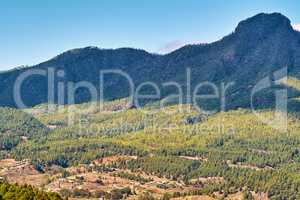 Landscape of mountain pastures in the background of lush forest trees in Spain. City and mountain view of residential houses or buildings in serene hill valley in Santa Cruz, La Palma, Spain