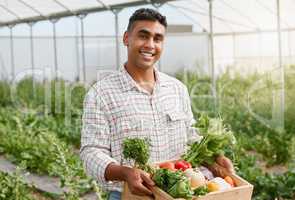 You can create many delicious dishes with these. Portrait of a young man holding a crate of fresh produce while working on a farm.