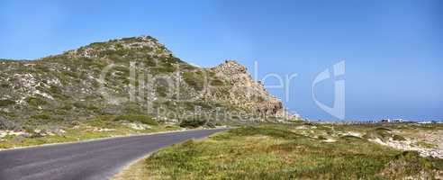 The wilderness of Cape Point National Park. The wilderness of Cape Point National Park, Western Cape, South Africa.