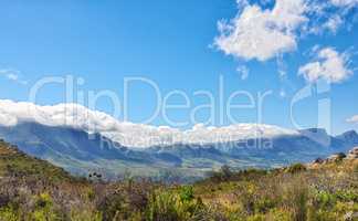 Landscape view, blue cloudy sky with copy space of Table Mountain in Western Cape, South Africa. Steep scenic famous hiking and trekking terrain with the lush green mountainside. A scenic view.