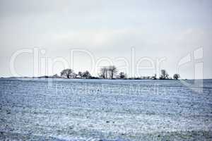 Snowy plowed field in a rural countryside in nature during chilly and cold weather. Winter landscape on a farm with silhouette of trees in a row against an overcast sky background with copy space