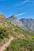 Scenic hiking trail through plants and shrubs along Table Mountain with copy space. Rugged path in nature to explore during a walk in the fresh air. Remote and quiet landscape in the wilderness