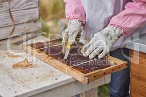Beekeeping is liquid gold but its hard work. Shot of a woman working with a hive frame on a farm.