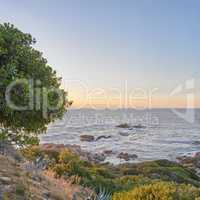 Landscape of ocean from Table Mountain park in Cape Town with copy space. Sunset view of sea with rocks and green grass, shrubs plant, bushes and a tree perfect for hiking, vacation trip or holiday