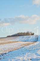 Winter landscape on a farm with trees in a row against a cloudy sky background with copy space in Denmark. Snowy plowed field across a beautiful countryside in nature during chilly and cold weather