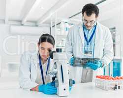 Understanding the data in a better manner. two young scientists working together in a lab.