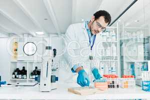 Following detailed analysis on every case. a young scientist working with samples in a lab.