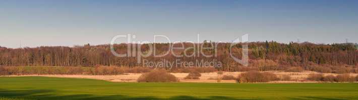 Landscape of forest trees growing in a quiet meadow or remote countryside in Sweden. View of coniferous woods in rural area, environmental nature conservation or field with blue sky and copy space