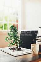 Bonsai tree growing out from a laptop in studio against a grey background. Bonsai tree growing out from a laptop in studio against a grey background.