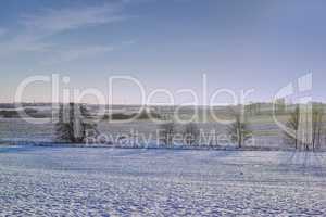 Landscape of a foggy remote land in nature during winter. Bare dry trees on a vast field and meadow covered in icy snow and copyspace background. Exploring mother nature on recreation hike
