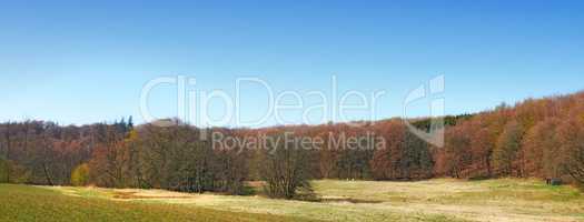 Landscape view of forest trees growing in a quiet meadow or remote countryside in Sweden. Green coniferous woods in rural area, environmental nature conservation or field with blue sky and copy space