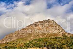A bottom view picture of Table mountain. A beautiful nature view of a high mountain shaped like a lions head with forest, and a cloudy sky in the background. Copy space with scenic landscape view