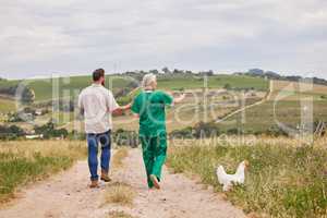 Out on a round of inspections. Rearview shot of a man having a discussion with a veterinarian on a poultry farm.