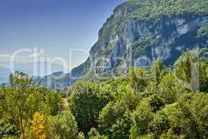 Vibrant greenery with plants on a mountain in a secluded countryside. Peaceful scenic land of rolling hills. Green grass and bushes growing outdoors in nature on a hilly and mountainous landscape.