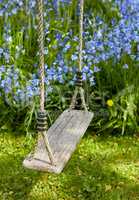 A wooden swing hanging in a beautiful garden with purple flowers growing in a lush green bush and grass. Decorative object swinging outdoors in a backyard near foliage. Botanic area in a yard