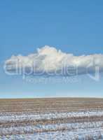 A dry brown agricultural farm covered in white snow during a cold winter weather season in Denmark. A freezing countryside organic ecology field frozen in ice under a blue cloudy sky outside