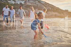 Multi generation family holding hands and walking along the beach together. Caucasian family with two children, two parents and grandparents enjoying summer vacation while kids use nets in the water