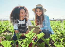 Helping each other achieve their best. two female farmers checking their crops using a digital tablet.