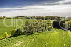 Lush green countryside of Jutland, Denmark with copyspace. Sustainable, organic farm, rural landscape of tranquil grass, bushes and trees. Peaceful woodland with calming, soothing scenic views