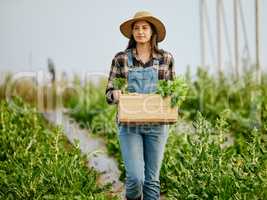 Its been a good harvest. Shot of a young female farmer carrying freshly harvested produce.