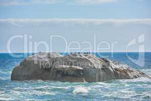 Ocean view of birds sitting on a boulder or rock in the sea in Camps Bay, Cape Town in South Africa. Relaxed and calm landscape view of the sea and beach during the day in summer against a blue sky