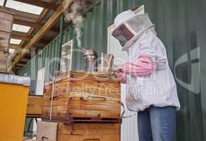 It requires dedication and passion. Shot of a beekeeper using a bee smoker while working on a farm.