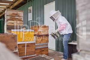 Ive been a beekeeper for a while now. a beekeeper using a bee smoker while working on a farm.