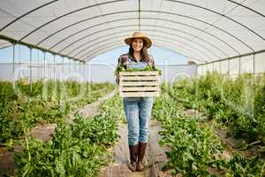 Grow and you shall receive. a young farmer holding a crate of freshly harvested produce.