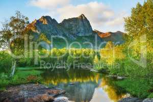 Nature forest landscape of Nordland mountain in the background with a quiet and calm lake surrounded by green forest during sunset. Reflection of the summer sky in the water and lush green foliage