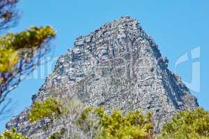 Twelve Apostles at Table Mountain in Cape Town against a blue sky background from below. Breathtaking view of plants and shrubs growing around a majestic rocky valley and scenic landmark in nature