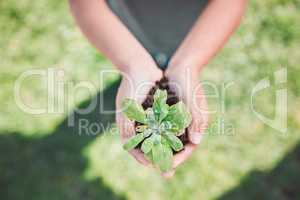 Creating hope. an unrecognizable little boy holding plants growing out of soil.