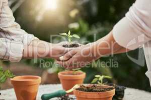 I perhaps owe having become a painter to flowers. two unrecognisable people holding a plant growing out of soil in nature.