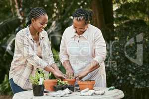 My moms got all of my heart. a mother and daughter gardening together in their backyard.