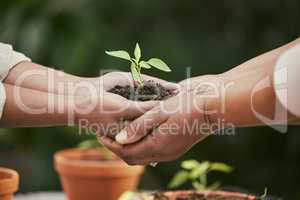 To plant a garden is to believe in tomorrow. two unrecognisable people holding a plant growing out of soil in nature.