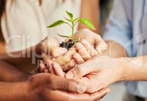 Our goals can only be reached through a plan. a group of people holding a plant.