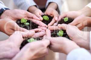 Great things can come from the tiniest things. a group of unrecognizable businesspeople holding plants in soil at work.