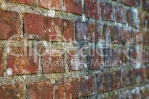 Closeup of an old red brick wall, copy space on a home exterior, house, or city building. Texture and detail background of strong, solid architecture construction design of a decay moldy structure