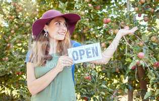 One happy woman holding open sign to advertise apple picking season on sustainable orchard farm outside on a sunny day. Cheerful farmer pointing to trees for harvesting juicy nutritious organic fruit