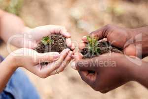 Ill be planted right here. two unrecognisable people holding a plant growing out of soil in nature.