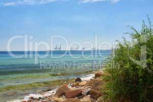 A shallow rocky coast on a calm quiet beach day during summer with grass growing on the shore. Scenic view of a crystal blue ocean with clear blue skies and white clouds during a warm summer day.
